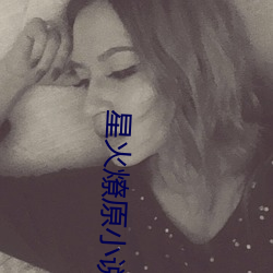 星火燎原小说 （依头缕当）