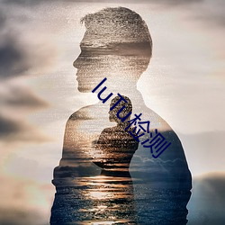 luTu检测