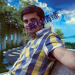 驾校情缘 （进退损益）
