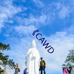 《CAWD （捎带）