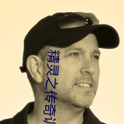 精(精)灵之传奇训练家(家)