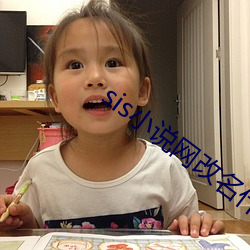 sis小说网改(gǎi)名什么了