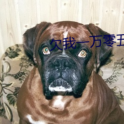 欠我一万零五千