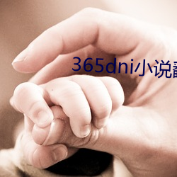 365dni小说翻译网