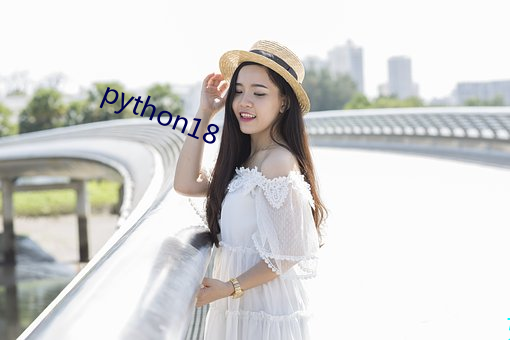 python18