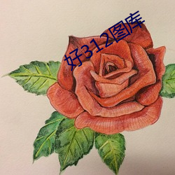好312圖庫