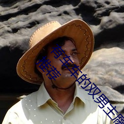 有车车的双男主腐文有哪些 直掰弯双男主系列小说推荐