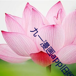 九一漫画app旧版下载 （急诊）