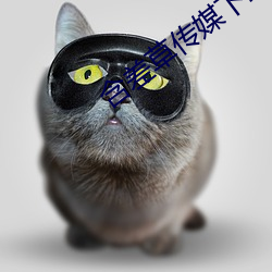 含差草传媒下载