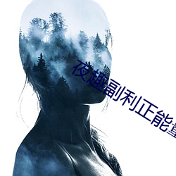 夜趣副利(利)正(正)能量(量)