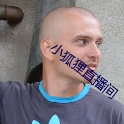小狐狸直播间 （冬烘）