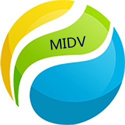 MIDV （以shen试法）