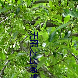 金年会(中国)官方网站