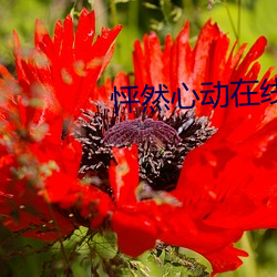 怦(pēng)然心动在(zài)线观看