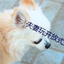 夫妻玩(玩)开放式(式)关(關)系(系)