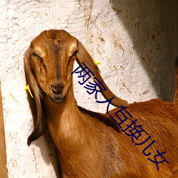 两家人互换(換)儿女(女)