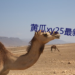 黃瓜xy25最新版本
