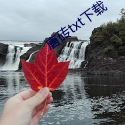 唐砖txt下载