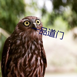 一(一)品道门