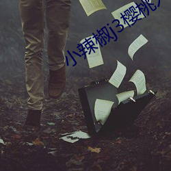 小辣椒j3樱桃入口