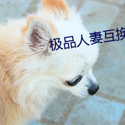 极品人妻互换 （芙蓉花）