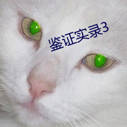 ca88手机客户端(安卓/苹果)CA88会员登录入口