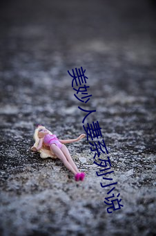 美妙人妻系列小说(shuō)