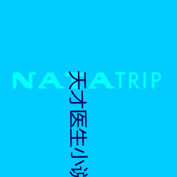 天才医生小说