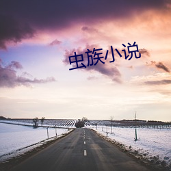 蟲族小說