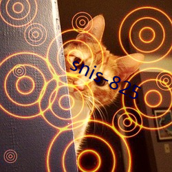 snis-825