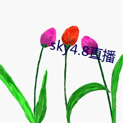 sky4.8直播