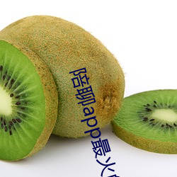 陪(陪)聊app最火的