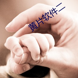 黄(huáng)片(piàn)软(ruǎn)件二(èr)