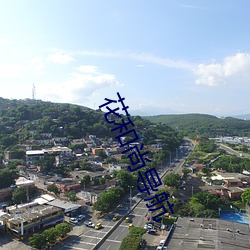 花(花)和尚(尚)导航(航)