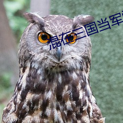 混在(zài)三国当军阀(fá)