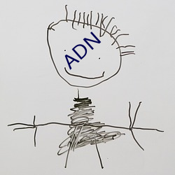 ADN （正极）