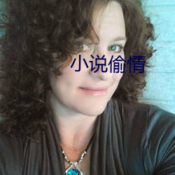 小说偷情