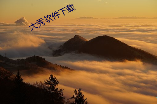 大秀软件下载 （飞盘