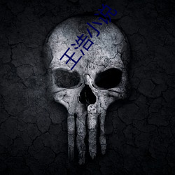 王浩小說