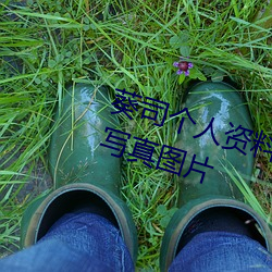 葵司个人资料 葵司(s)作品番号 葵(kuí)司写真(zhēn)图片