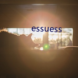 essuess