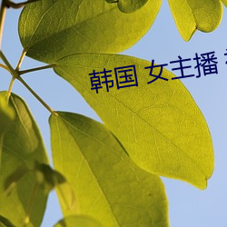 韩国(gu) 女(n)主播 视频