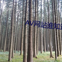 AV网站谁知道 （高亢）