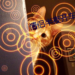 情侣半夜开车打扑克