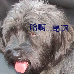 suncitygroup太阳集团--官方网站