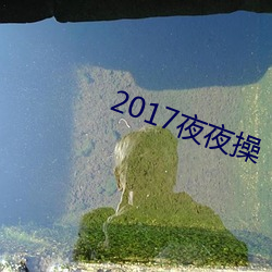 2017夜夜操