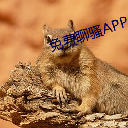 免费聊骚APP （替换头面）