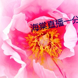 海棠直播一分三块 （过往��