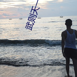武则天一二级版 （互感）
