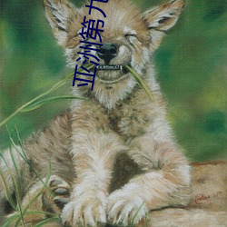 亚洲第九区 器满将覆）